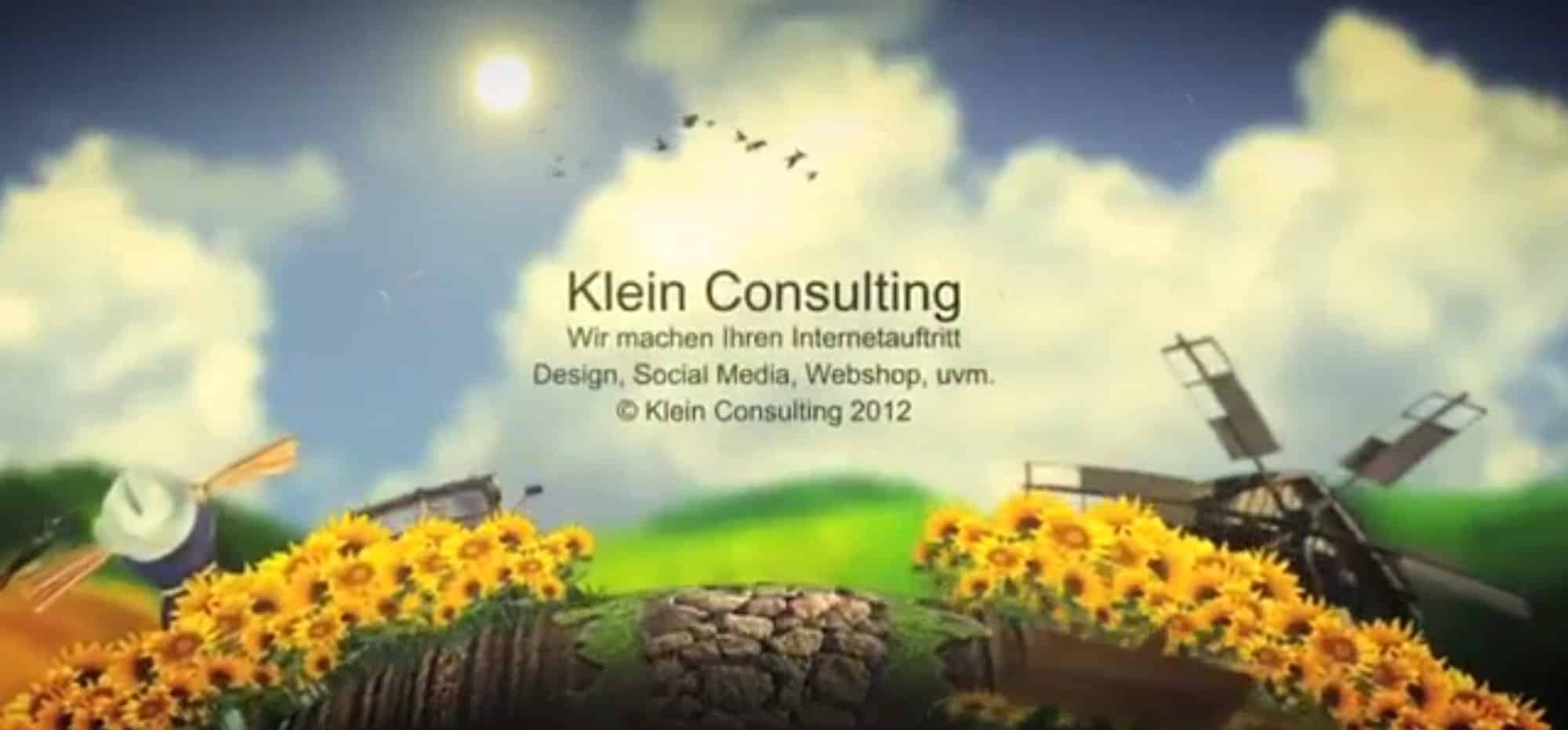 Klein Consulting Vorschau