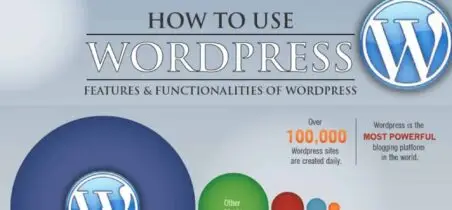 WordPress Infografik