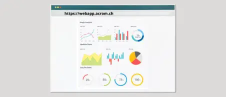 Webapplikation Illustration mit verschiedenen Diagrammen und Analysen