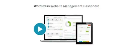 ManageWP: Tool der Woche