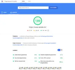 100 Punkte bei Google Page Speed