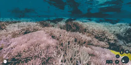 Google Earth Unterwasseraufnahmen