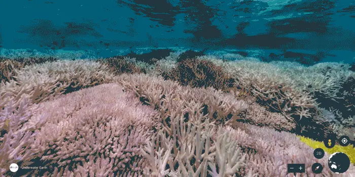 Google Earth Unterwasseraufnahmen