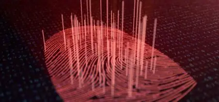 Identitat Digital Security Hacker