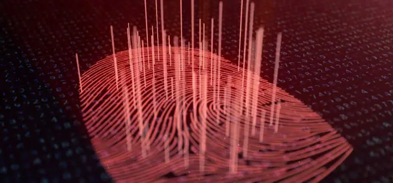 Identitat Digital Security Hacker