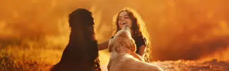 Titelbild rundum.dog