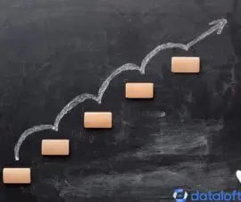 DSCMI Methode, 5 Schritte Projektmanagement