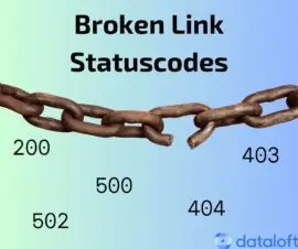 Broken Link Status Codes