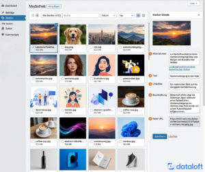 cms mediathek bilder galerie alt text titel beschreibung — Alt-Text und Bildattribute im Zeitalter von SGE & EEAT